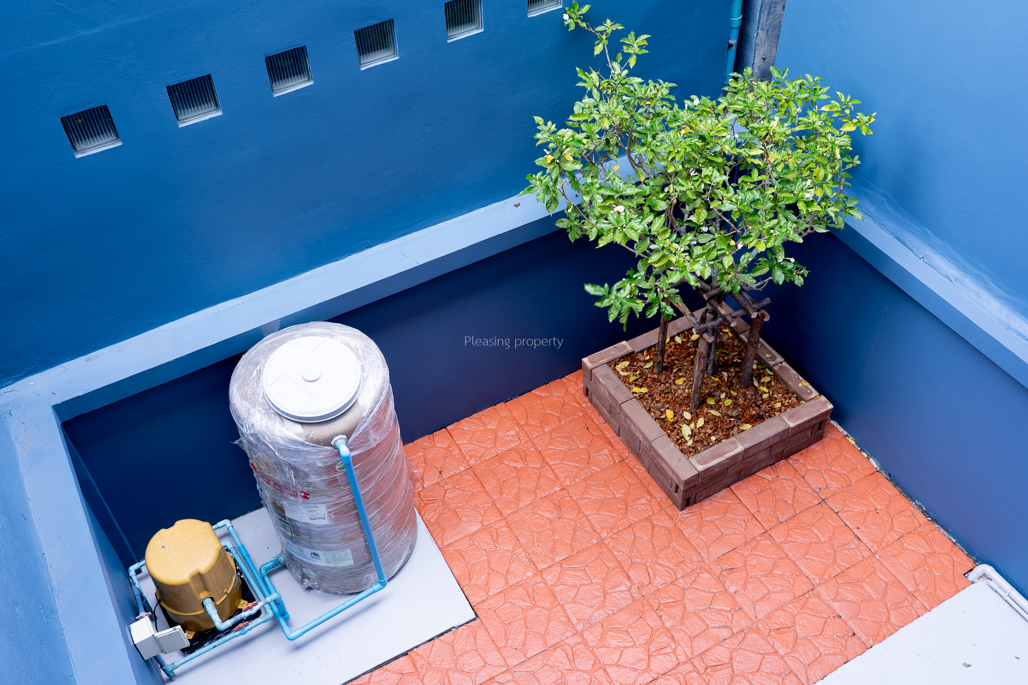DSC07002
