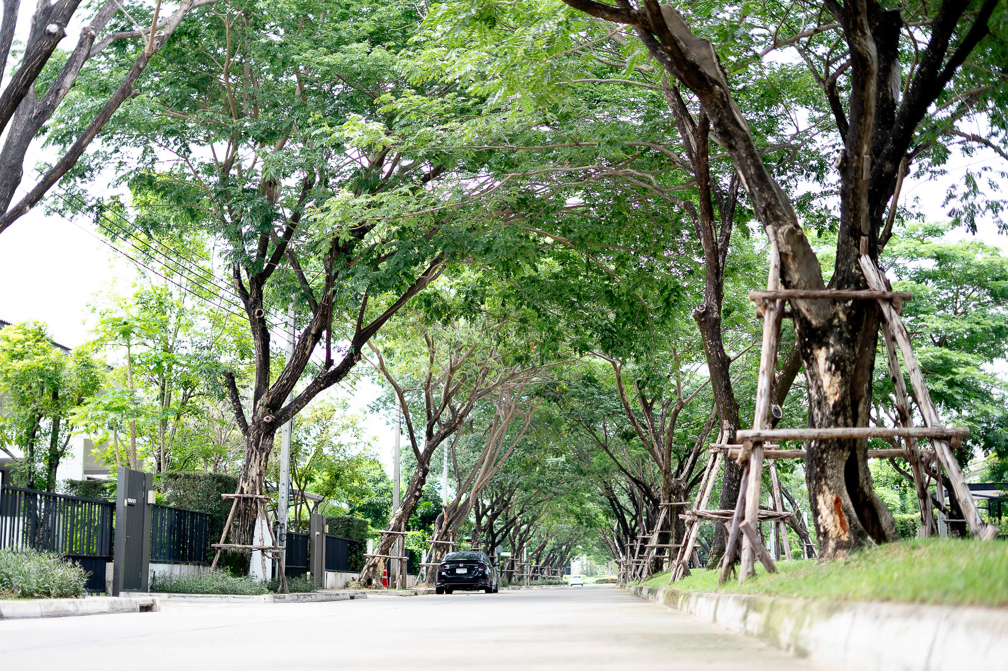 มัณฑนา มอเตอร์เวย์ – กรุงเทพกรีฑาตัดใหม่-29