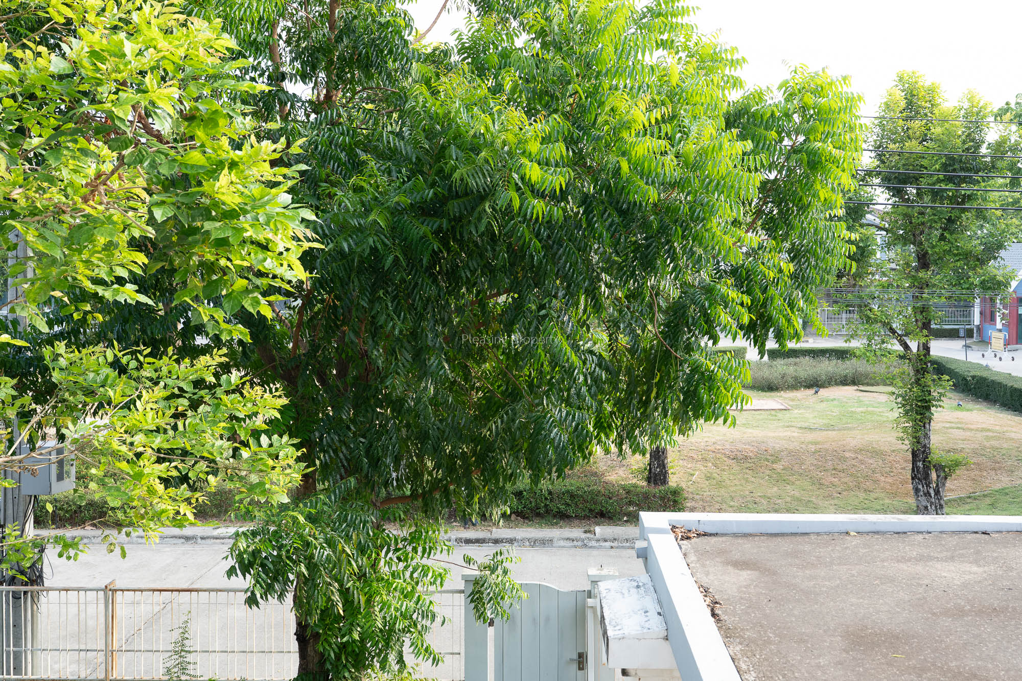 DSC06518-3